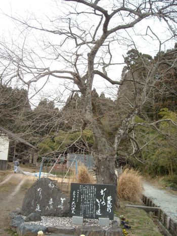 芭蕉の無念を追慕する碑※2