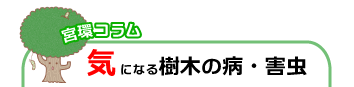 気になる樹木の病・害虫