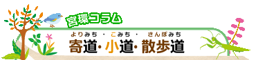 よりみち・こみち・さんぽみち