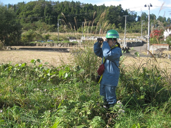 鳥類調査